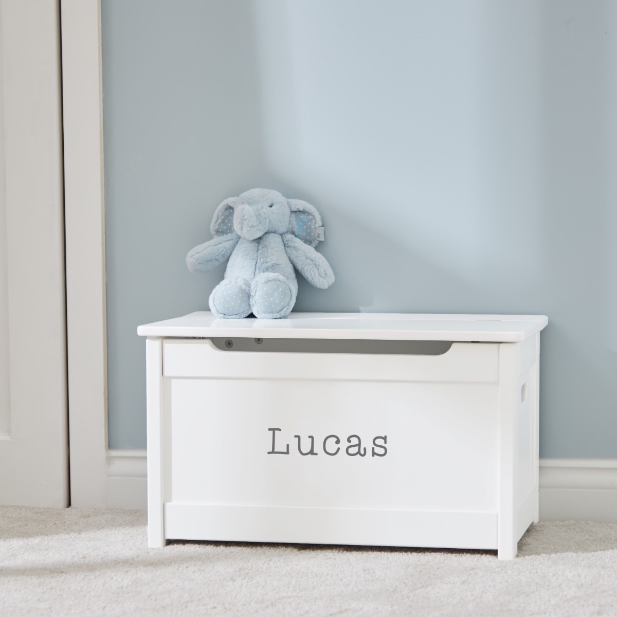 Personalised Panelled Toy Box