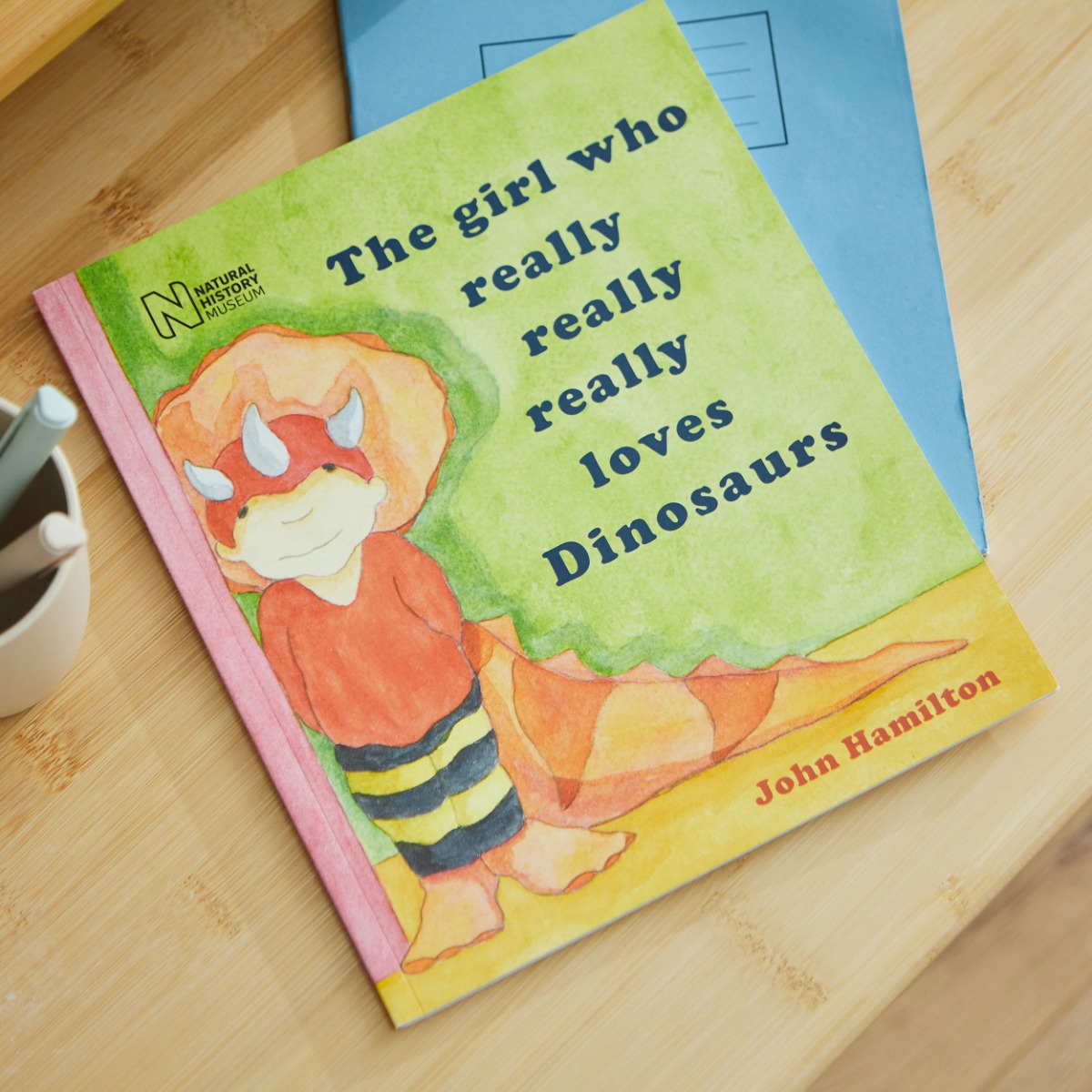 The girl who really really really loves Dinosaurs Book