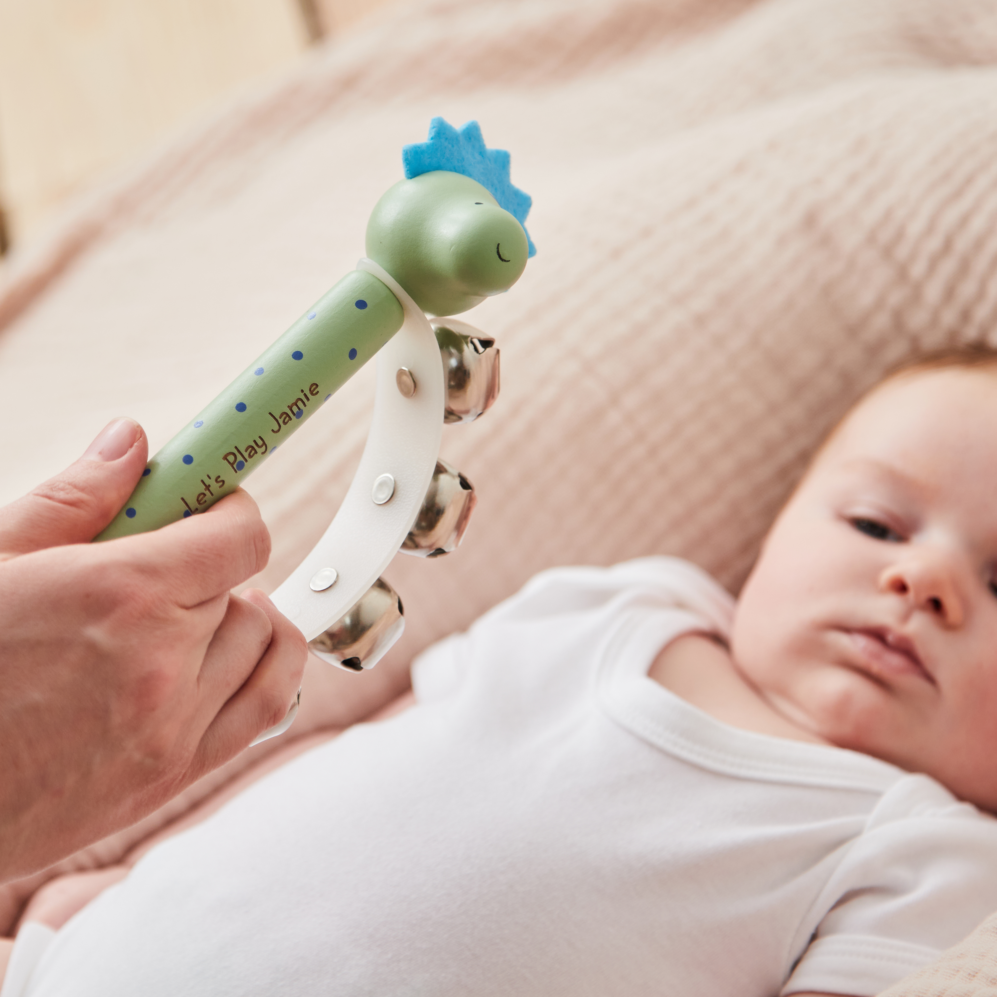 Personalised Wooden Dinosaur Handbell