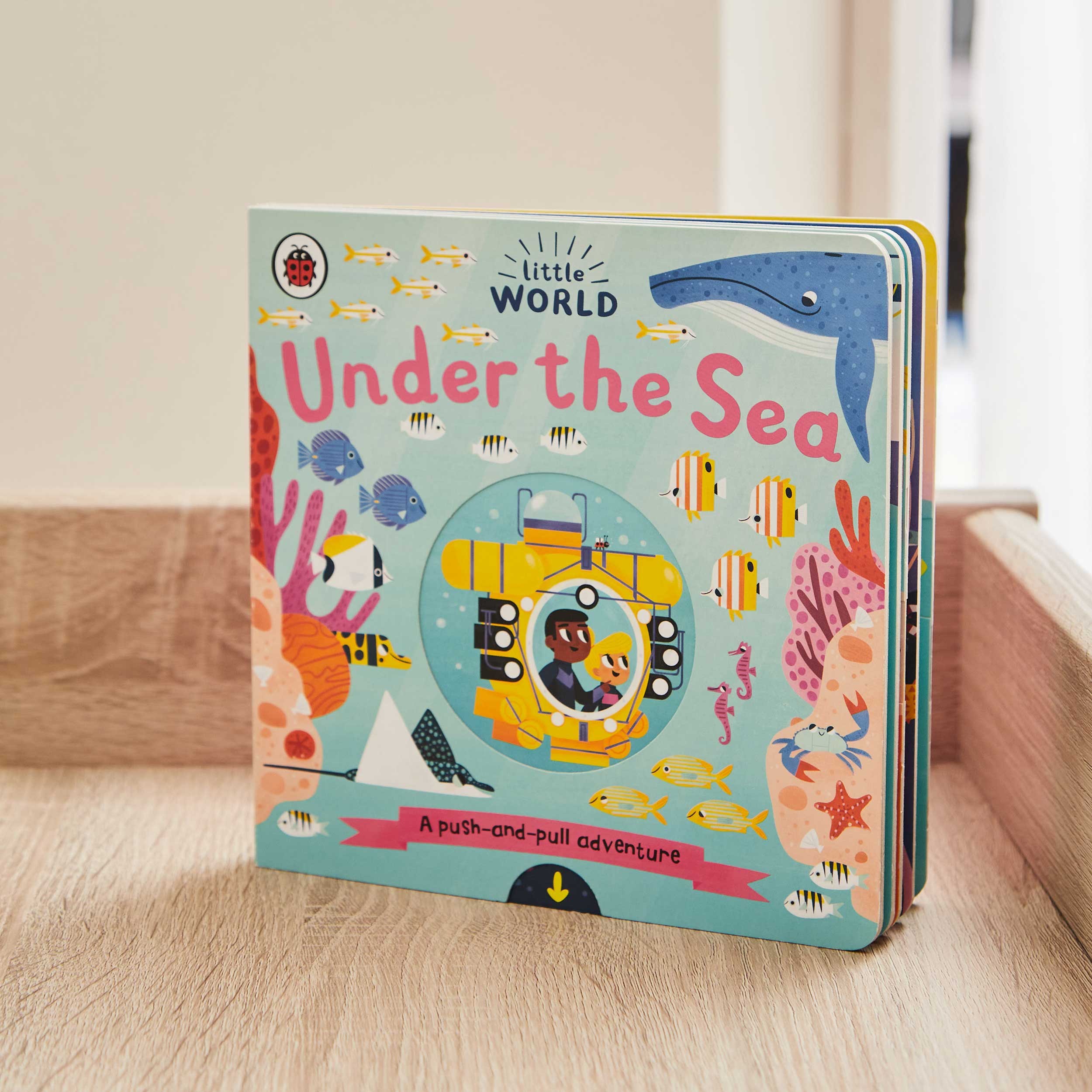 Little World Under the Sea Book