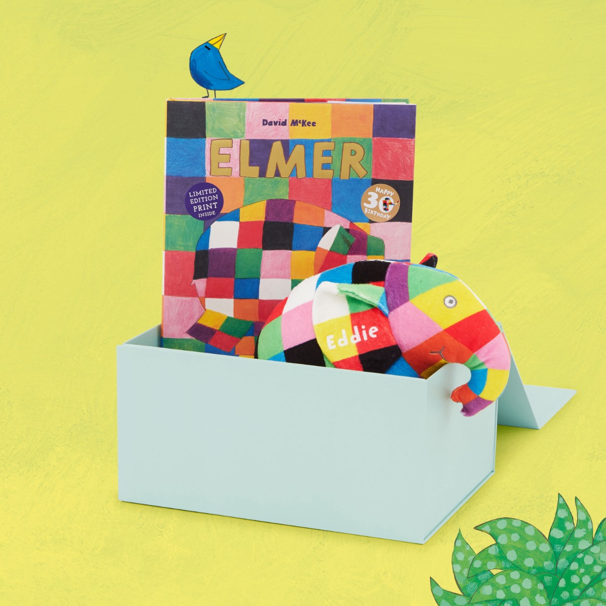 Personalised Elmer the Elephant Bedtime Story Gift Set