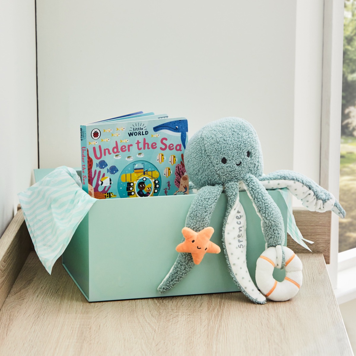 Personalised Under the Sea Read Cuddle Gift Set