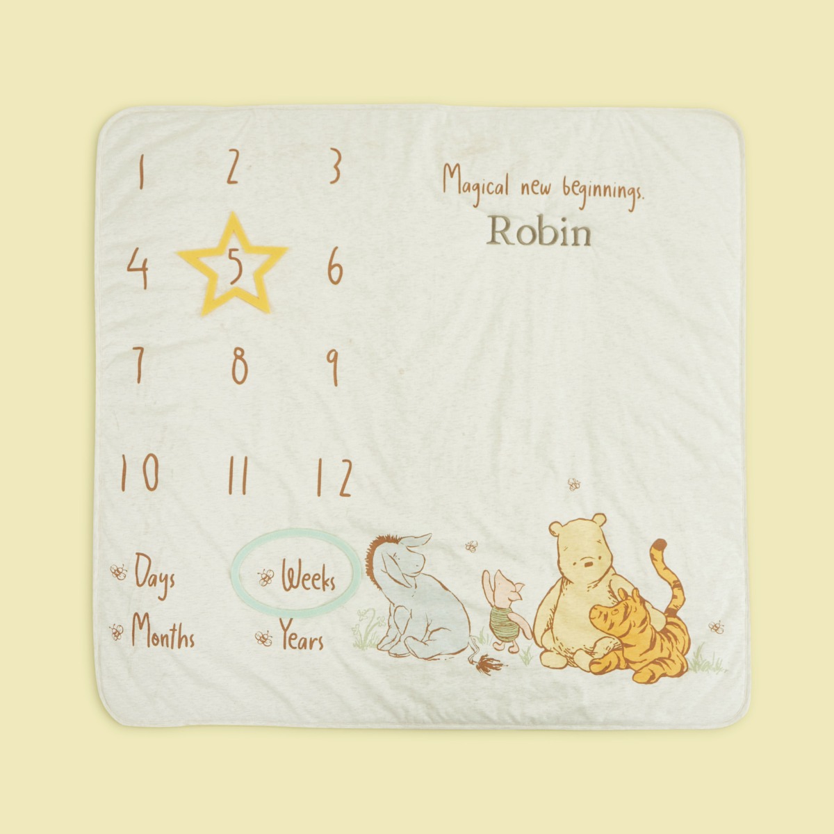 Personalised Winnie The Pooh Milestone Blanket