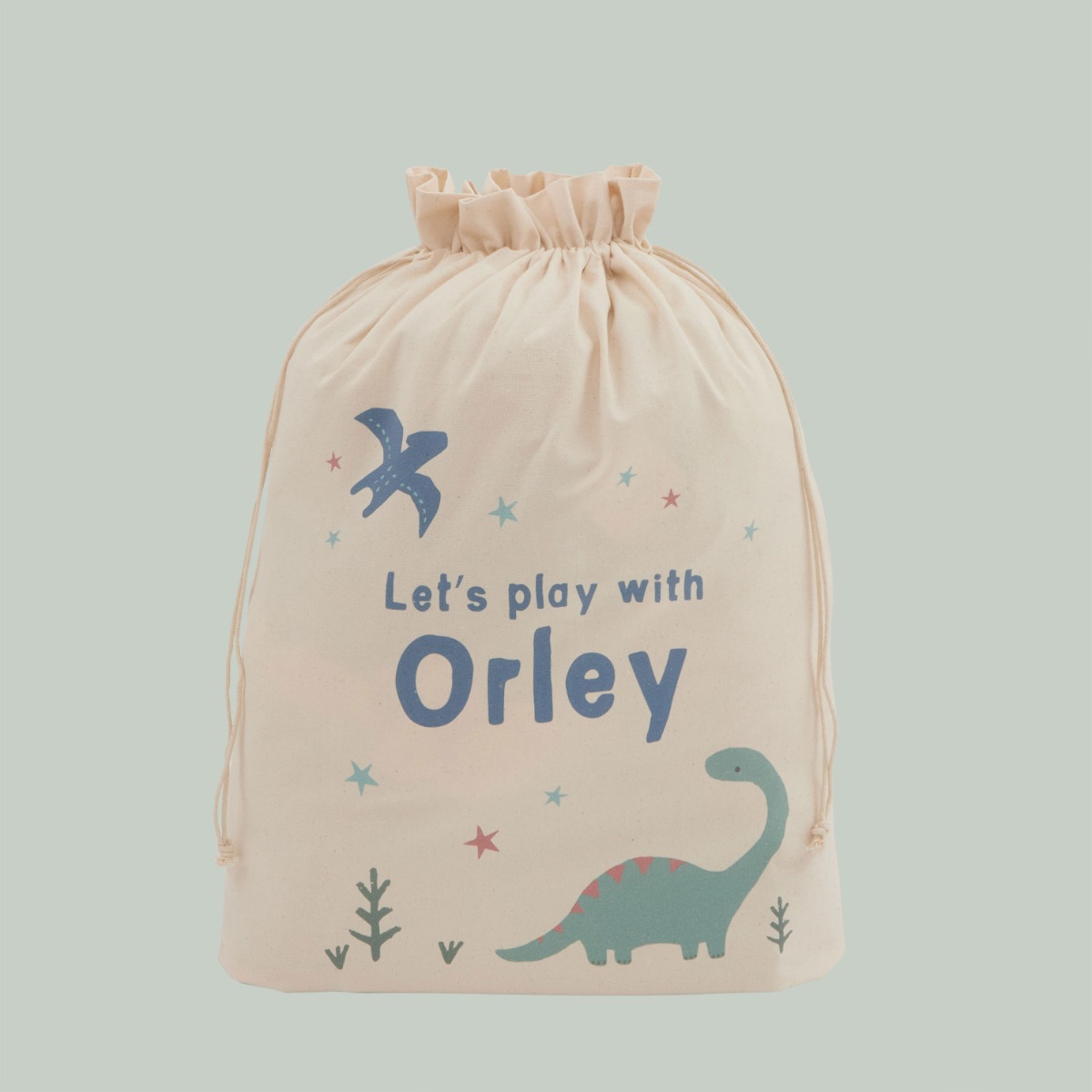 Personalised Dinosaur Design Storage Sack