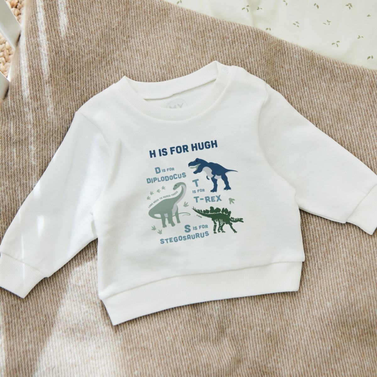 Personalised Natural History Museum Dinosaur Alphabet Sweatshirt