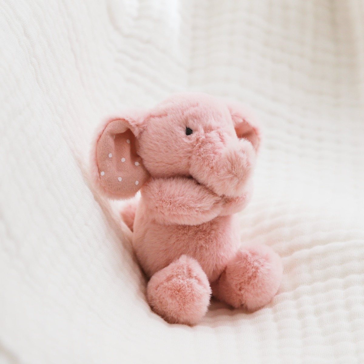 Mini Elephant Soft Toy