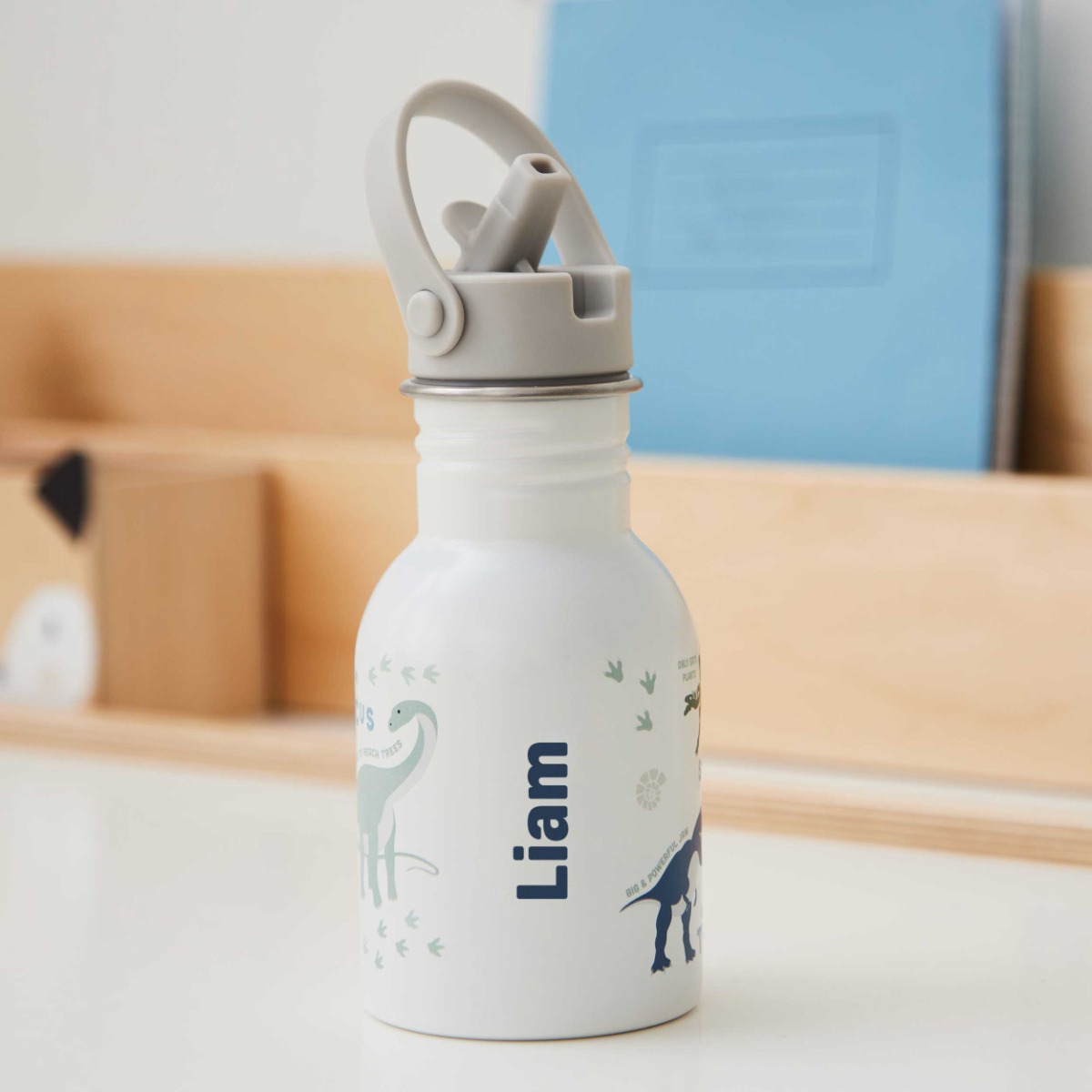 Personalised Natural History Museum Dinosaur Water Bottle